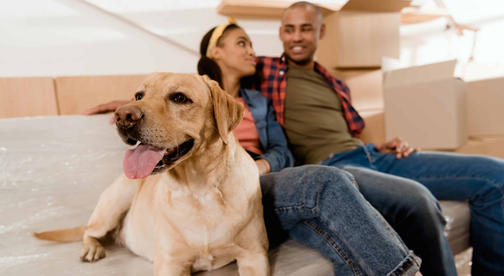 family with a dog packing